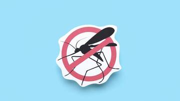 Diffusione del virus West Nile, rinforzate le ordinanze per proteggersi dalle zanzare
