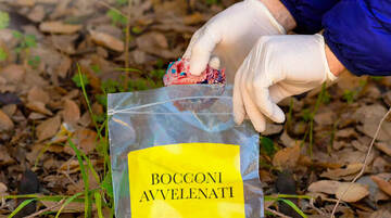 Lotta ai bocconi avvelenati, al via la nuova campagna di sensibilizzazione 2025