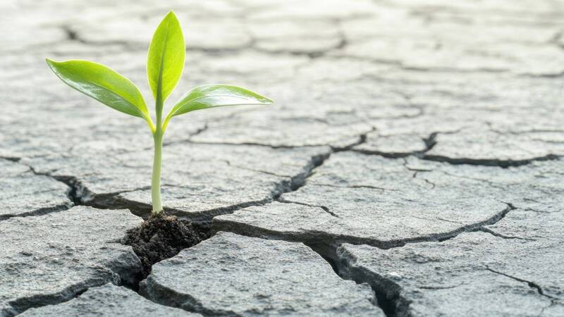 Grande partecipazione al seminario dedicato alla mitigazione e adattamento ai cambiamenti climatici