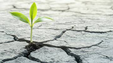 Grande partecipazione al seminario dedicato alla mitigazione e adattamento ai cambiamenti climatici