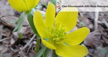 «Giardini segreti», le sedi del Ceas Bassa Romagna si aprono ai visitatori