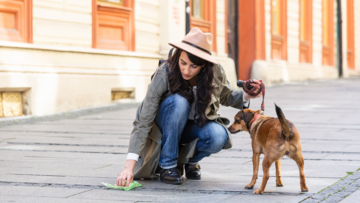 Deiezioni canine, al via la campagna per responsabilizzare i proprietari
