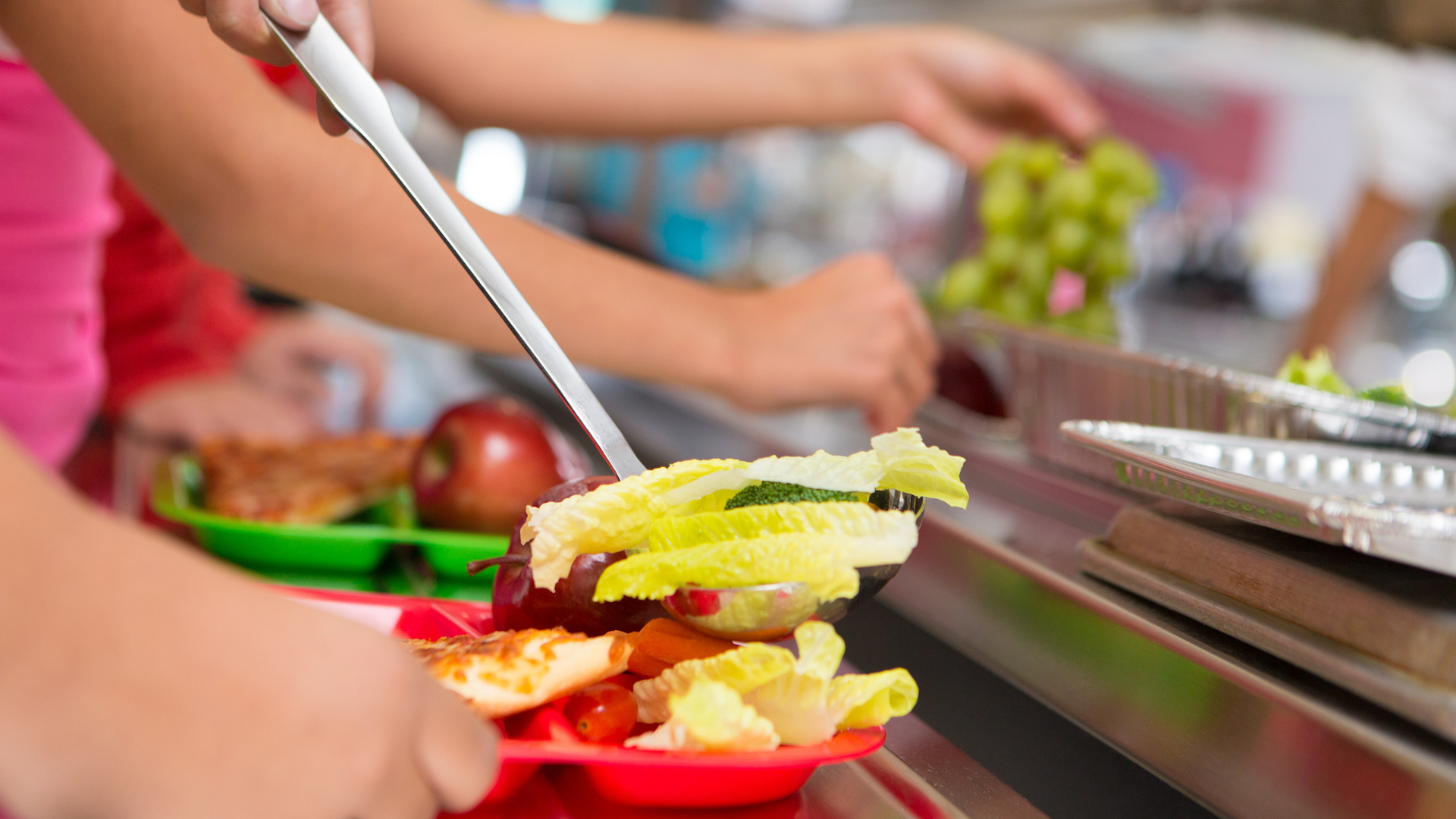 Immagine: Mensa - cibo