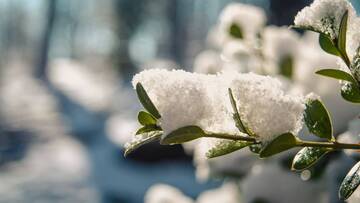 Rischio neve