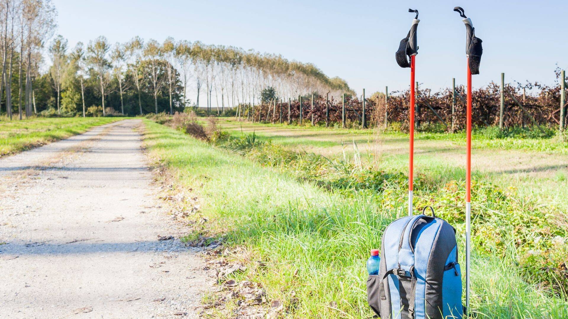 Immagine: Nordic walking