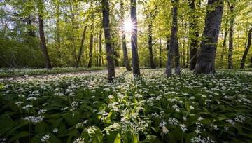 Una passeggiata sensoriale al parco del Loto