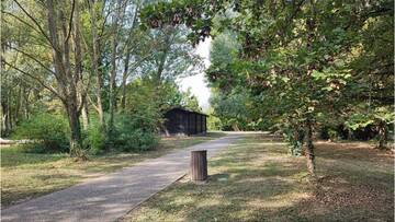 La Consulta dei ragazzi e delle ragazze in visita al parco del Loto