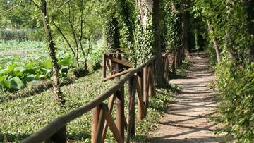 Una passeggiata per famiglie alla scoperta del Parco del loto