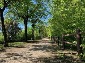Una «domenica detox» al parco Pertini di Cotignola 