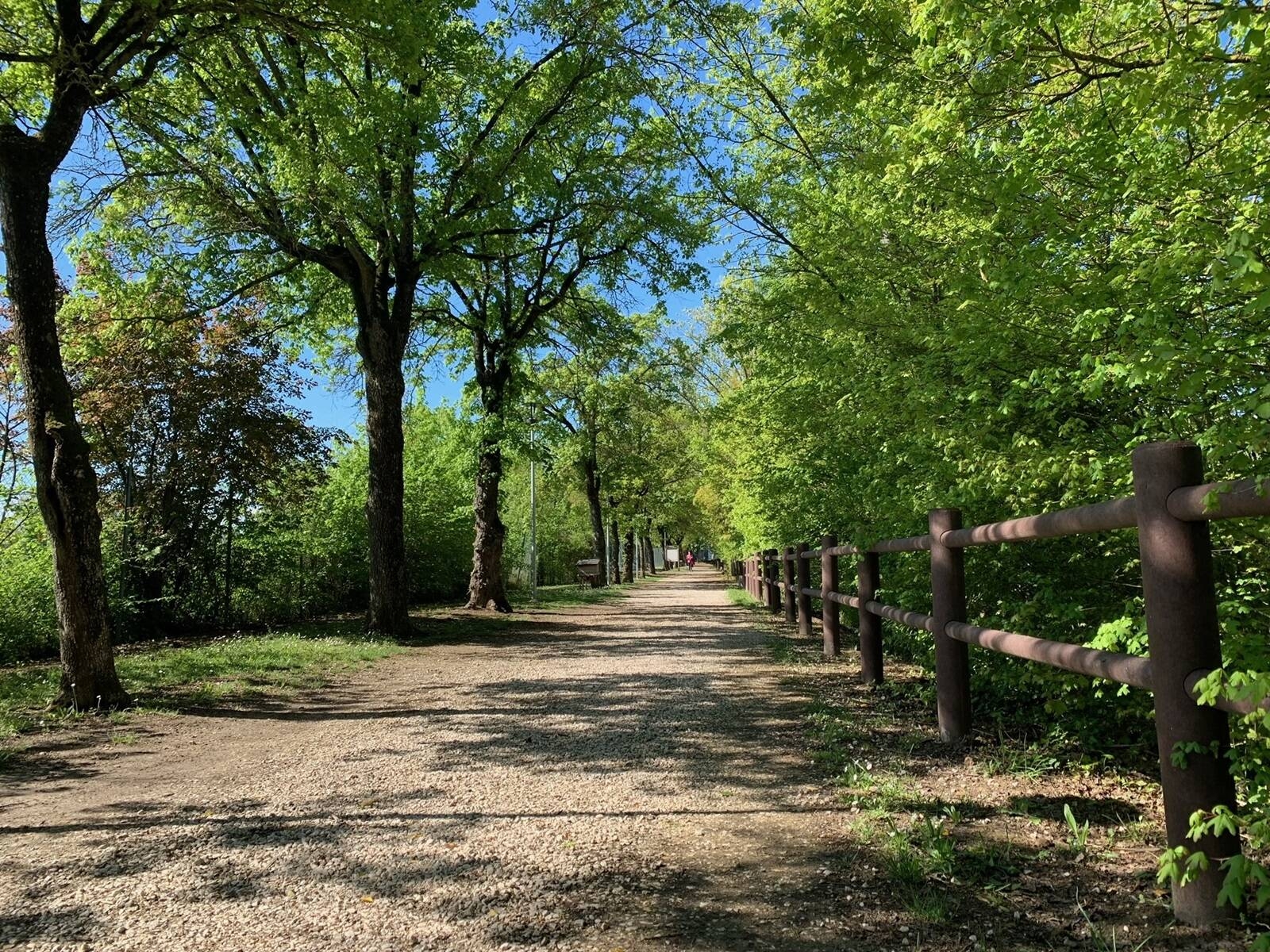Parco Pertini - Cotignola