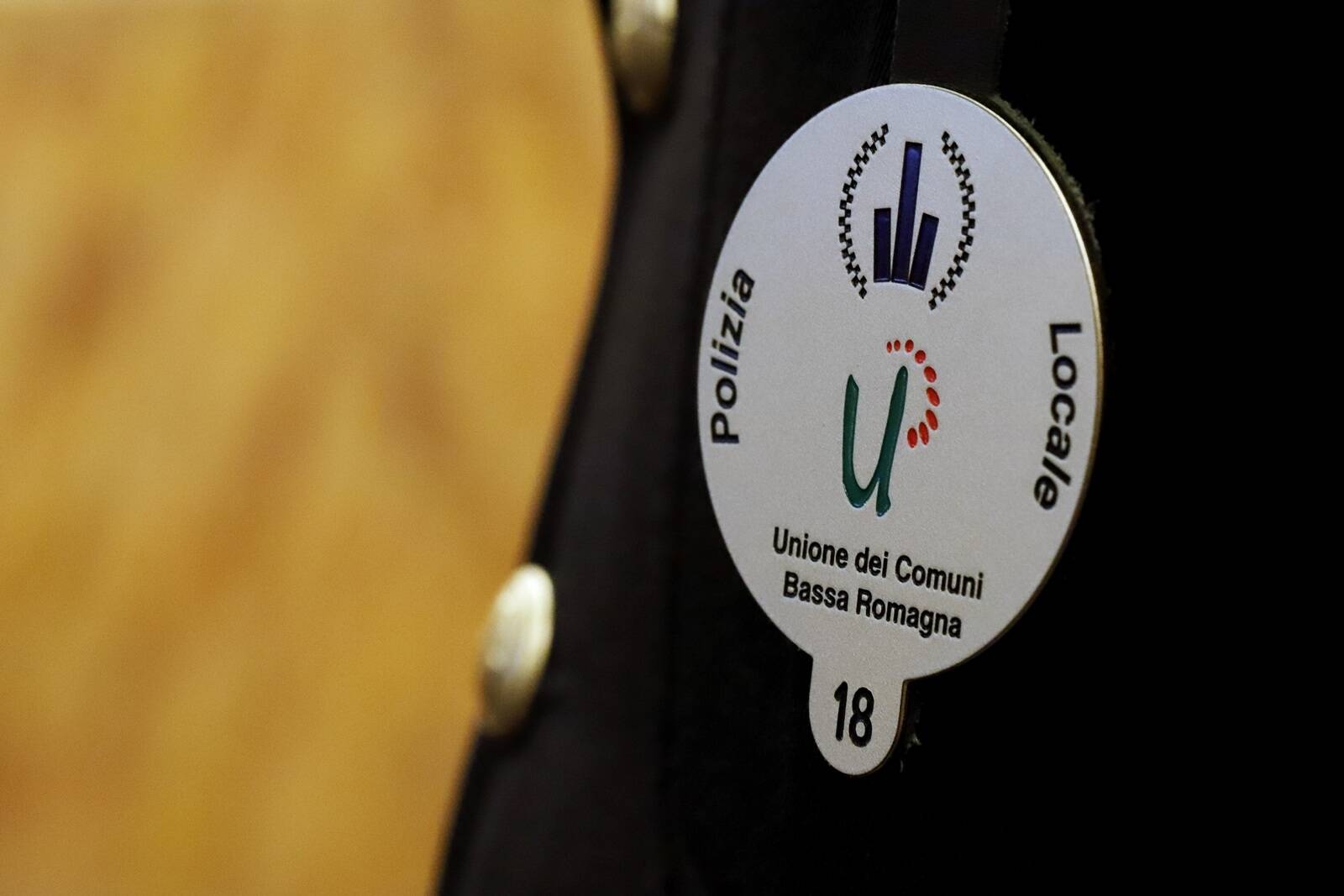 Immagine: Polizia locale Bassa Romagna