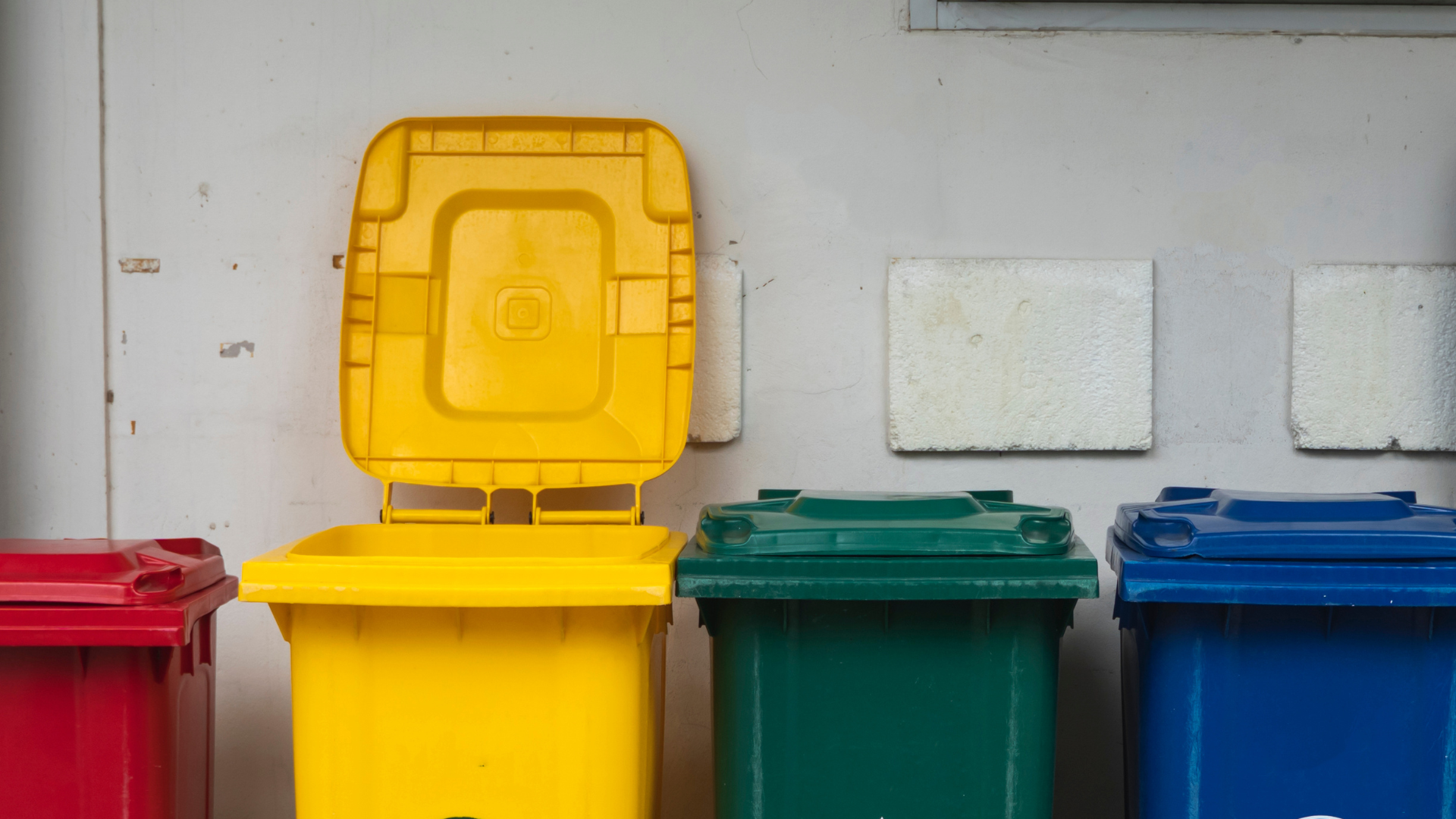 bidoni della spazzatura differenziata