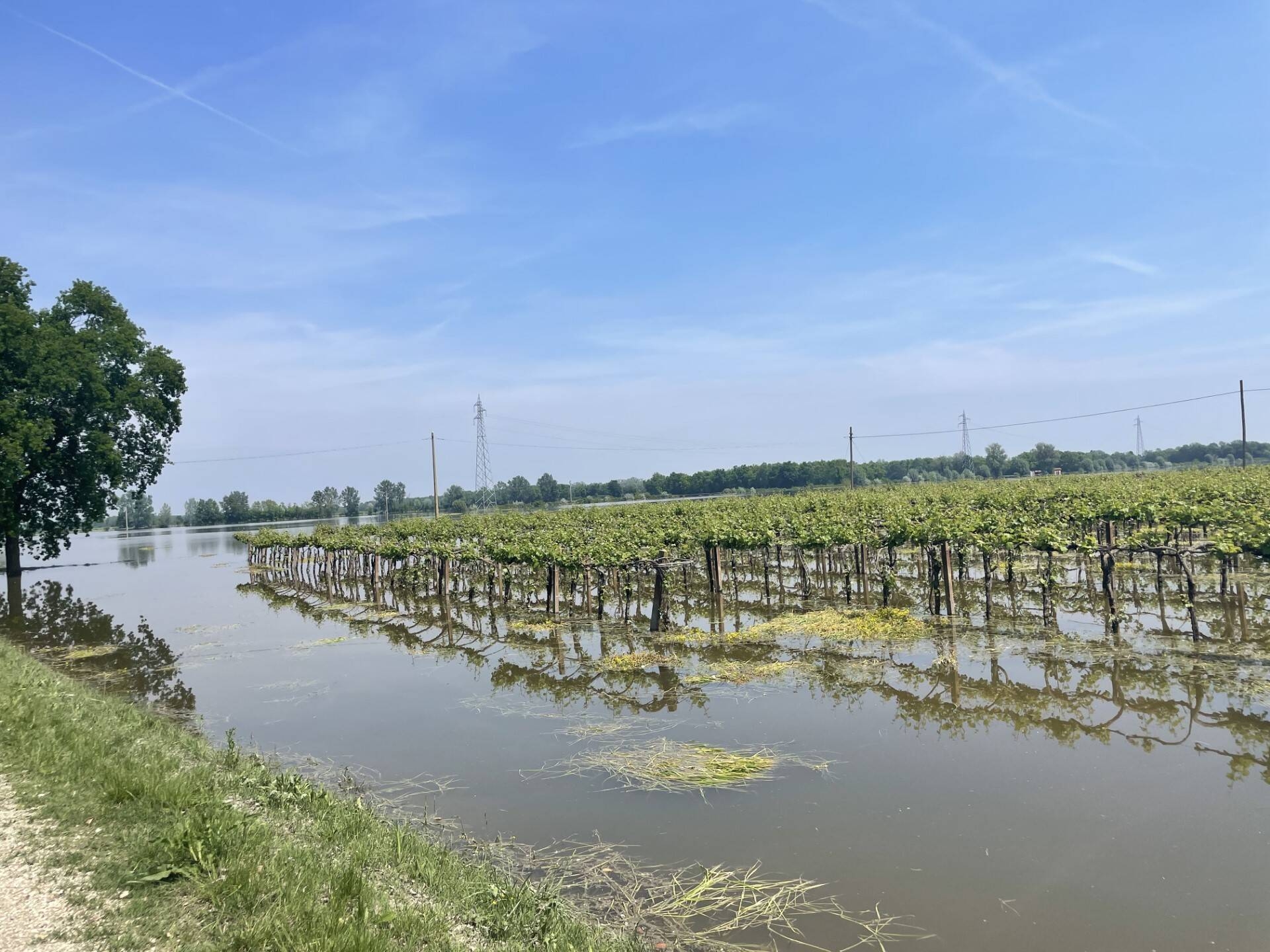 Immagine: thumbnail_IMG_7943