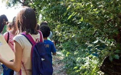 foto bambini in mezzo al verde