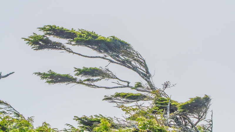 Vento: attenzione per la mattinata di domenica 5 ottobre 2025 Vento: attenzione per la mattinata di domenica 5 ottobre 2025