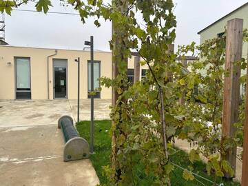 Lo sportello immigrazione riapre presso il centro civico di Conselice