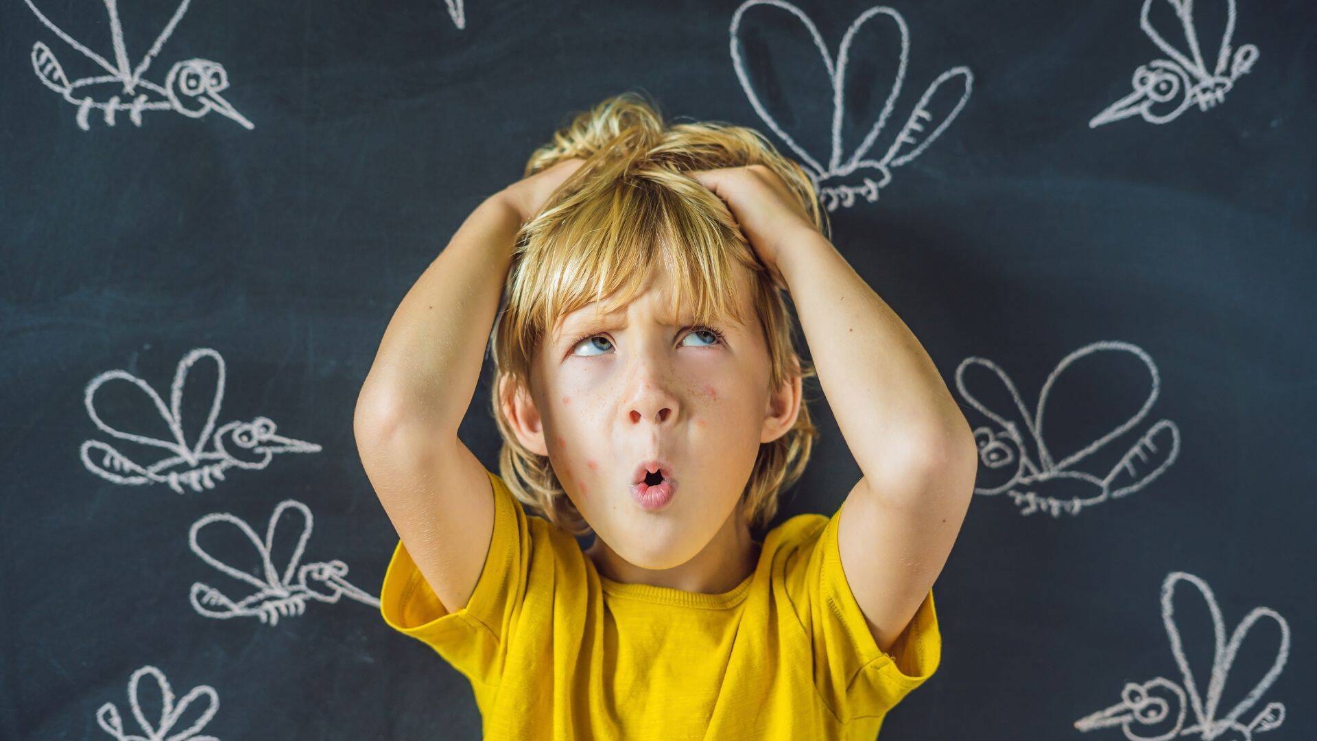 foto di un bambino davanti a una lavagna con disegnate delle zanzare
